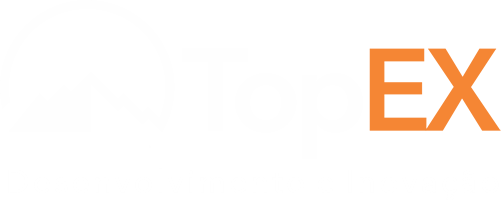 TopEx – Desenvolvimento e Inovação